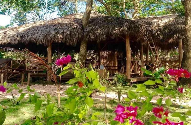 Samana Eco Lodge Hostel jardin